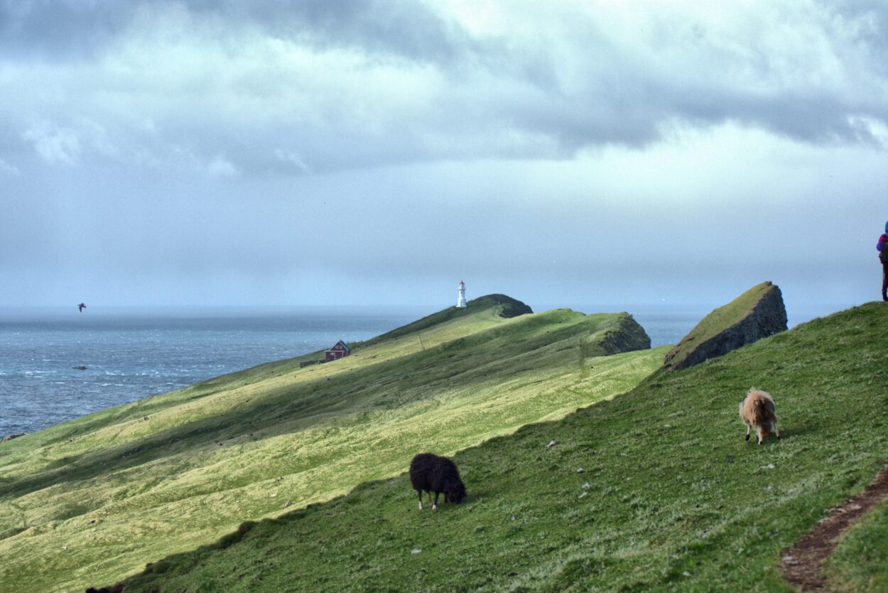 Eine Person geht auf einem grasbewachsenen Hügel in der Nähe des Ozeans.