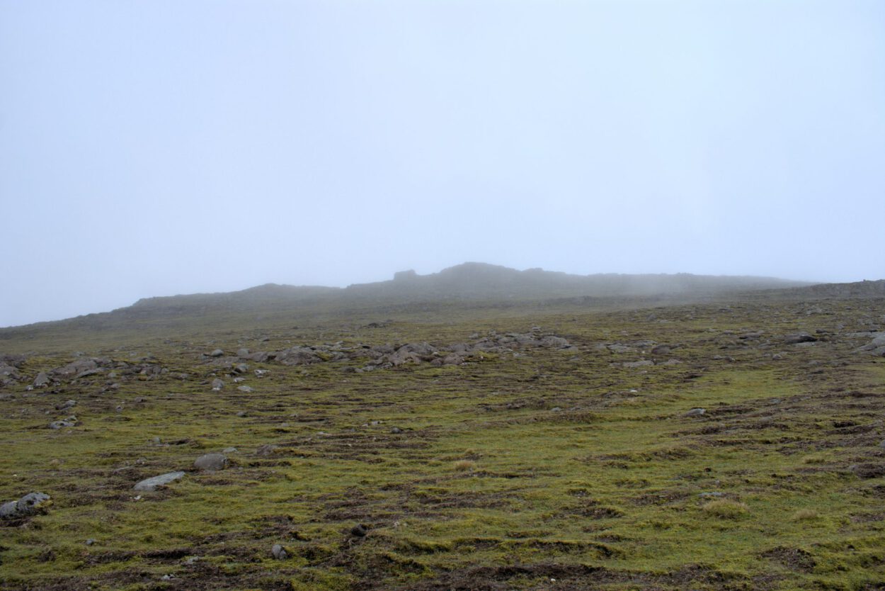 Ein grasbewachsener Hügel mit einem Berg im Hintergrund.