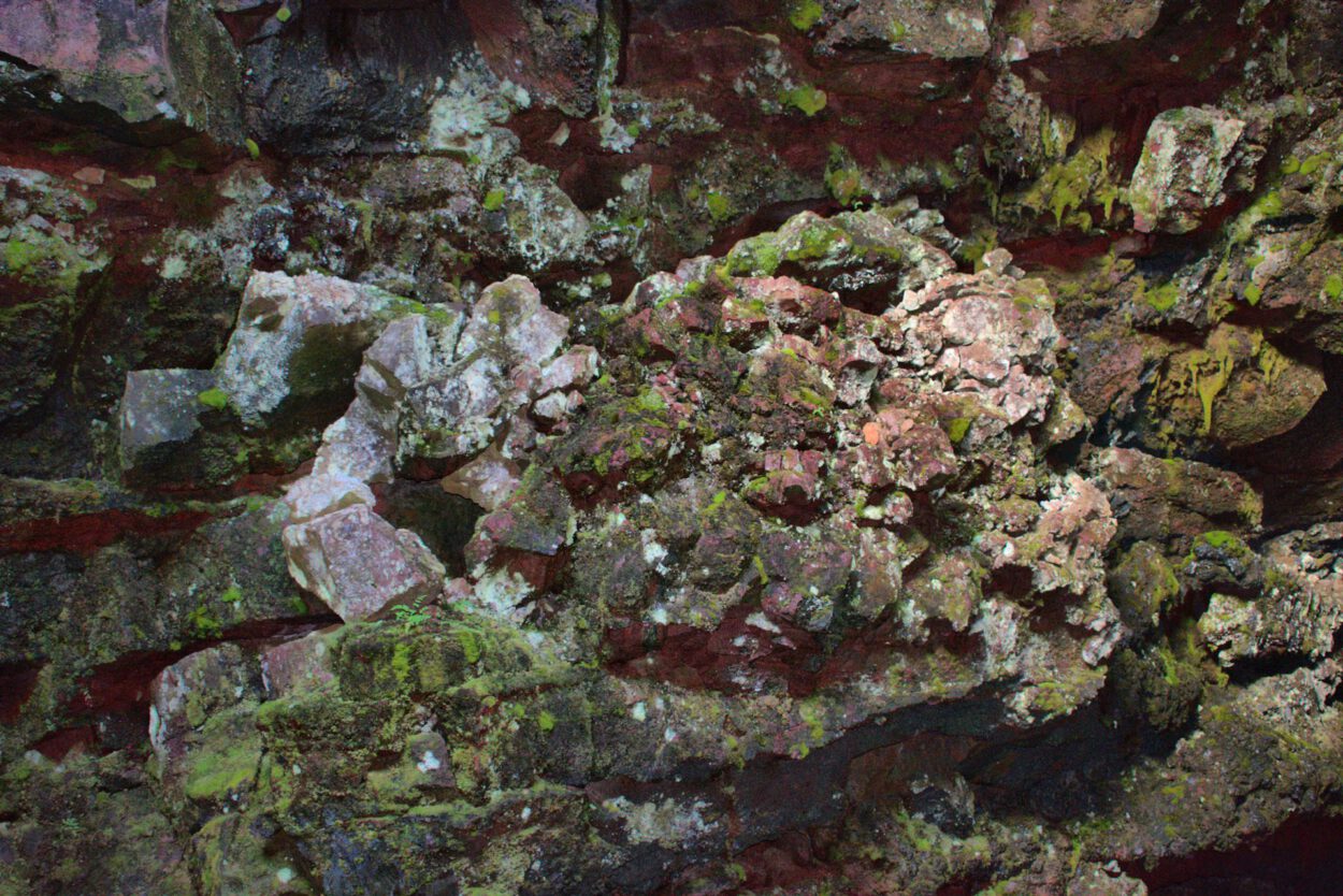Ein moosbedeckter Felsen in einer Höhle.