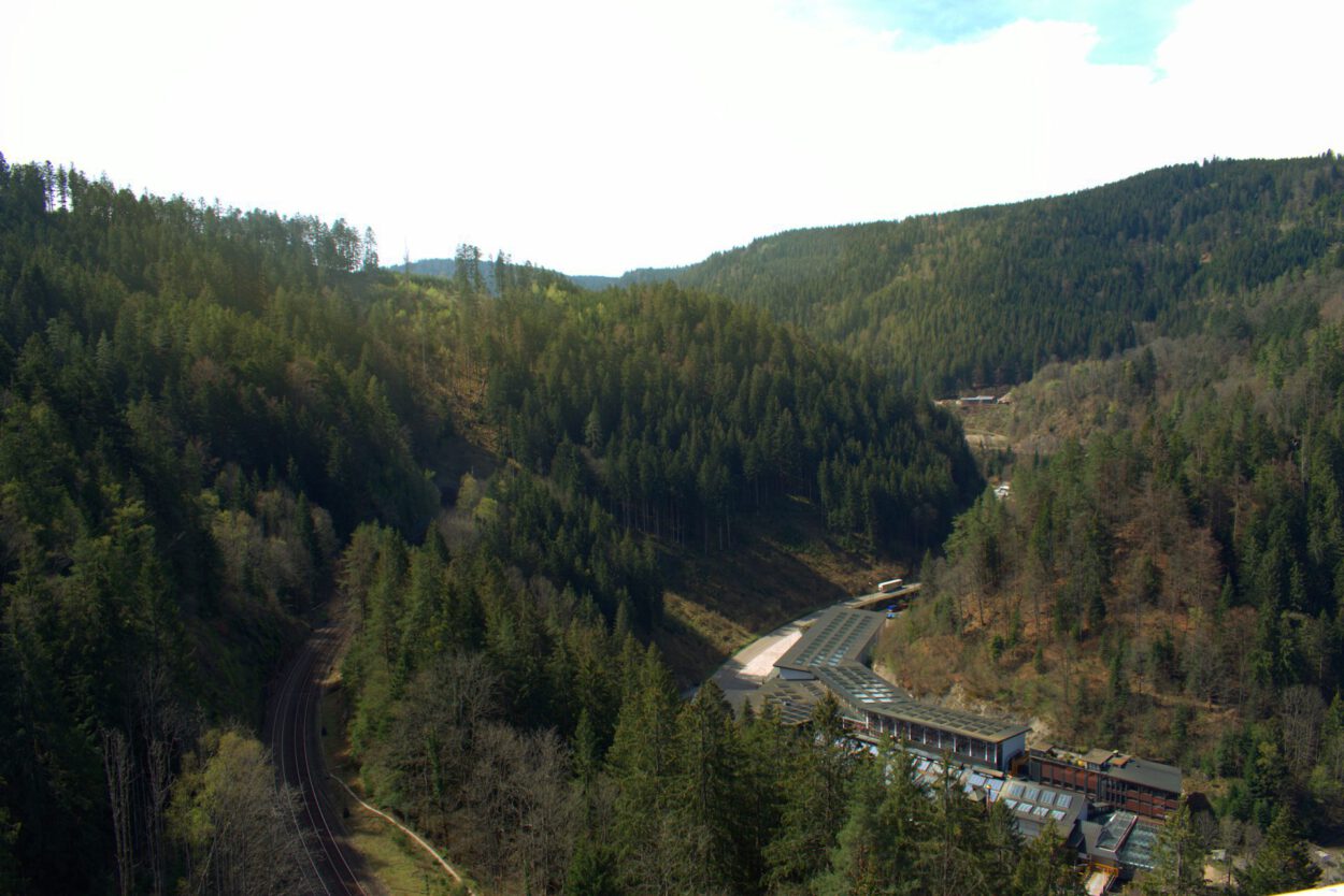Ein Blick auf eine Bahnstrecke in einem Waldgebiet.