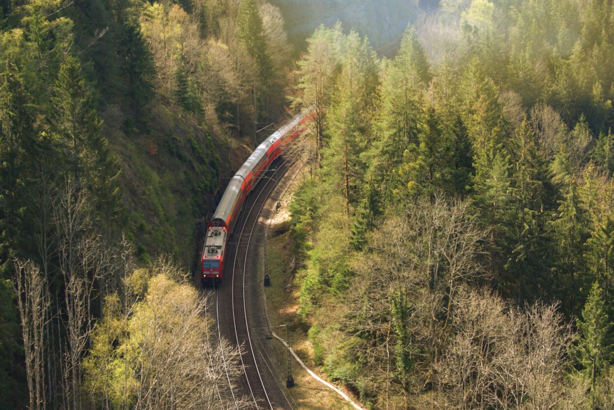 Ein Zug fährt durch einen Wald.