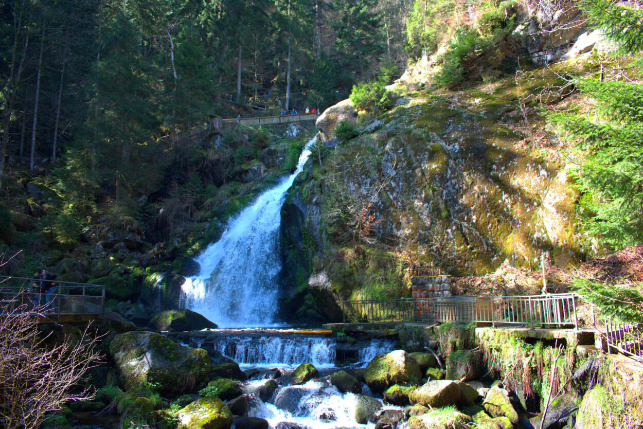 Ein Wasserfall in einem Waldgebiet.