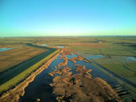 DJI 0001 1