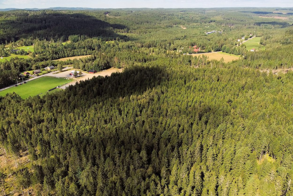 Eine Luftaufnahme eines Waldes und eines Feldes.