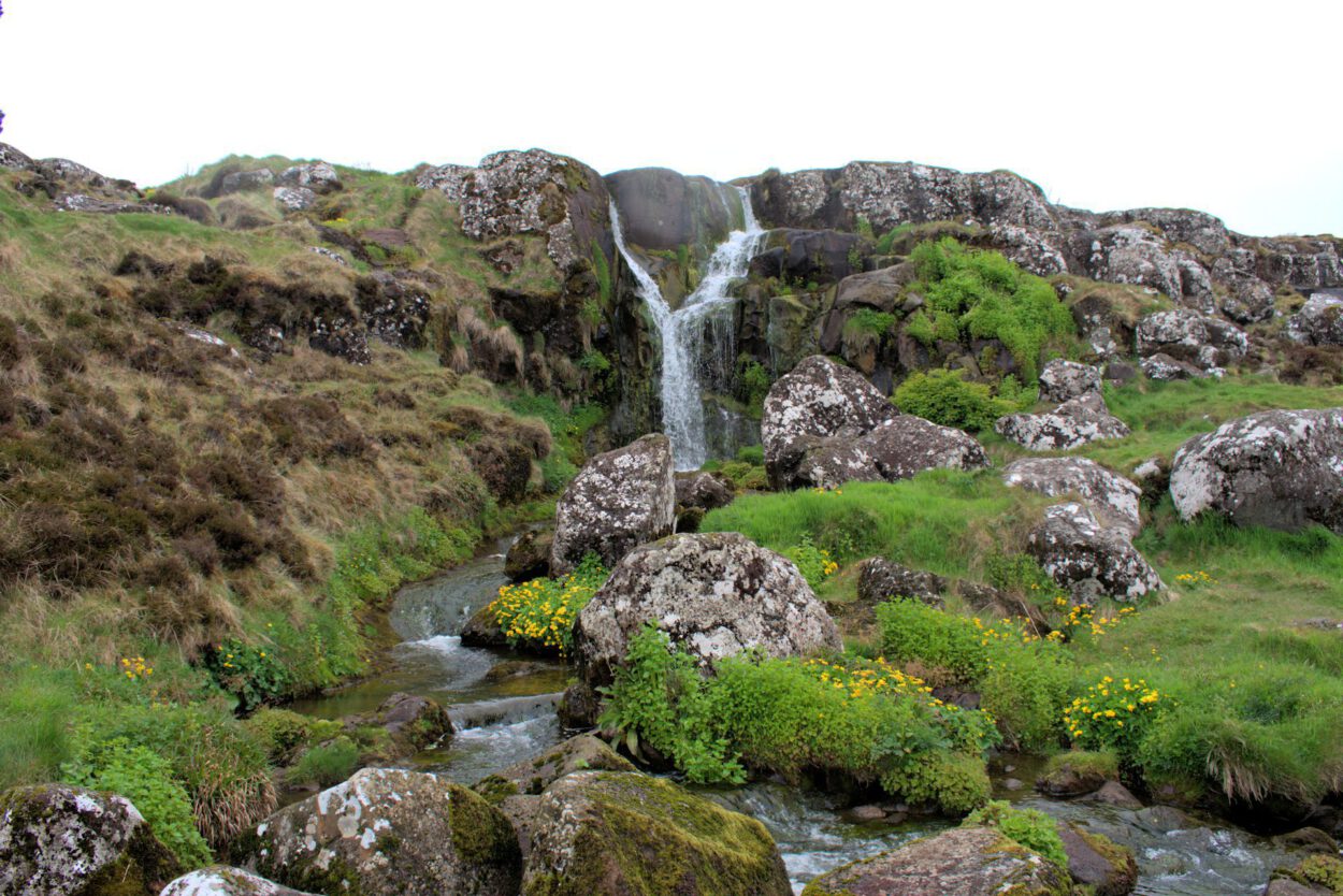 Ein Wasserfall mitten in einer Grasfläche.