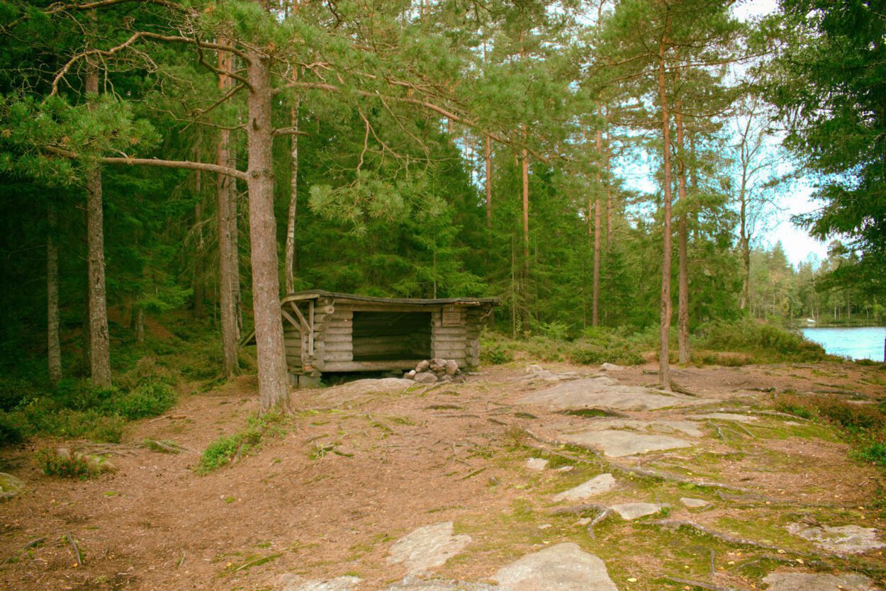 Eine Blockhütte im Wald.