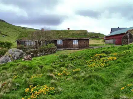 DSC 0043 1