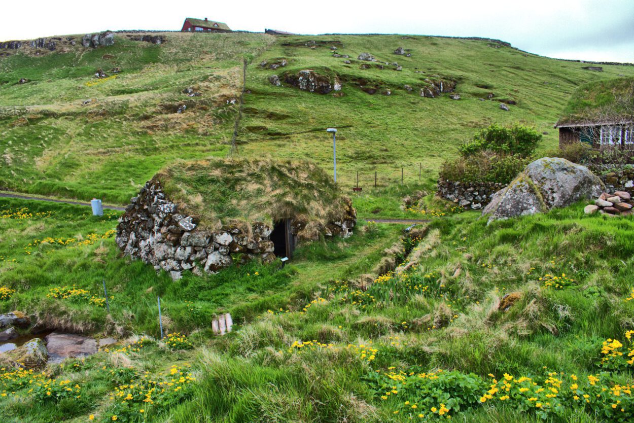 Ein grasbewachsener Hügel mit einem Grasdach und gelben Blumen.