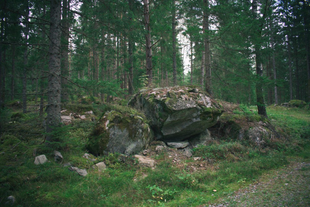 Ein großer Felsen mitten im Wald.