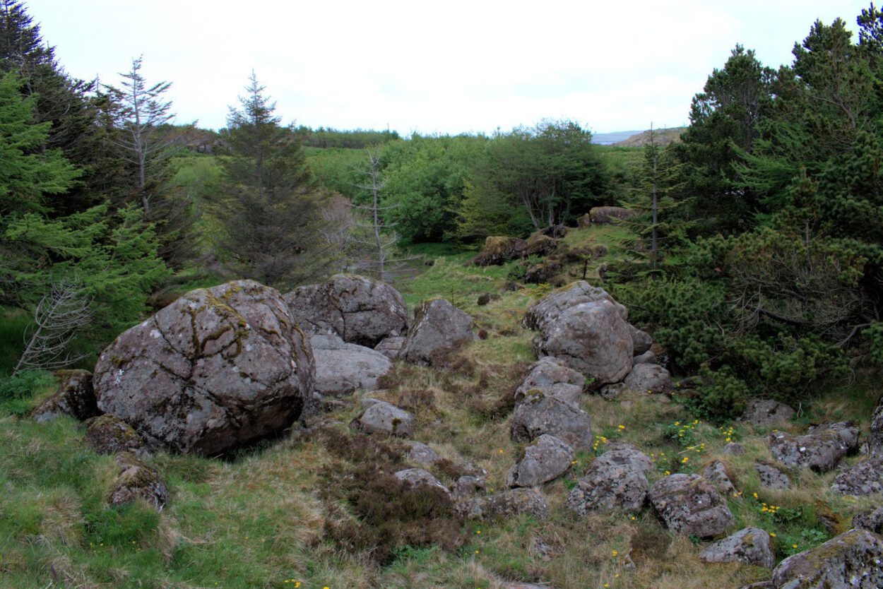 Eine Gruppe von Felsen in einer Grasfläche.