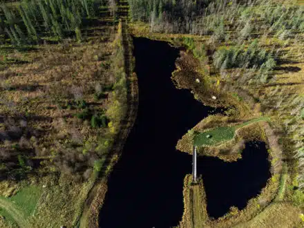 DJI 0004