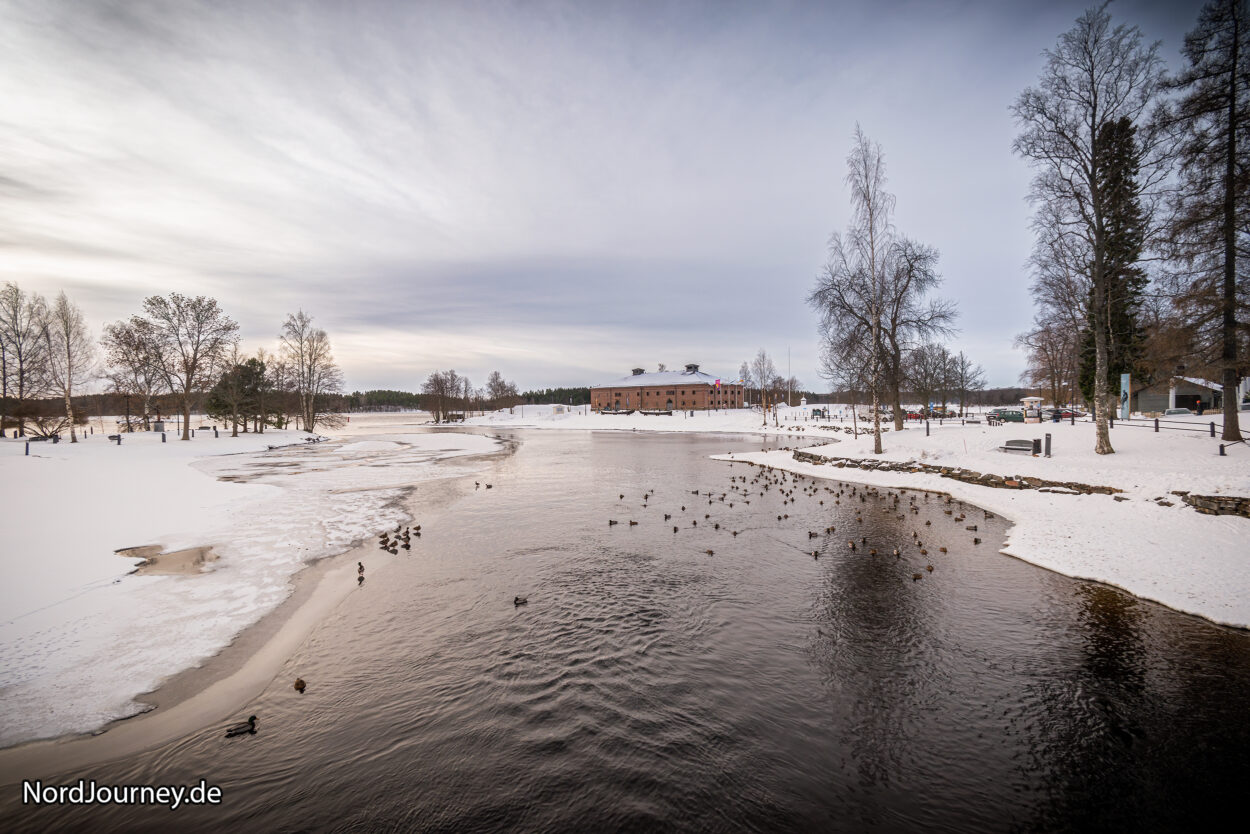 Ein Fluss im Schnee mit Enten im Wasser.