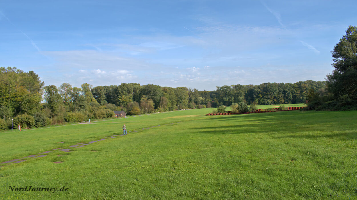 Eine Person lässt einen Drachen auf einem Feld steigen.